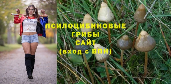 бошки Абинск