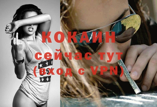 крисы Михайловка