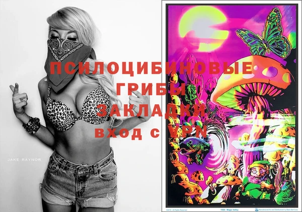 дурь Михайловск