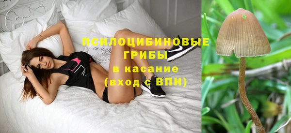 герыч Михайлов